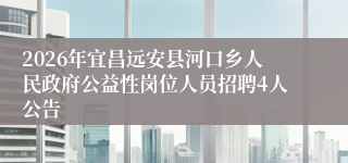 2026年宜昌远安县河口乡人民政府公益性岗位人员招聘4人公告
