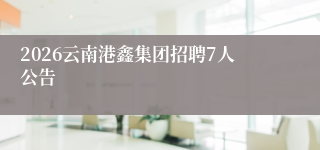 2026云南港鑫集团招聘7人公告