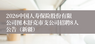2026中国人寿保险股份有限公司图木舒克市支公司招聘8人公告(新疆)