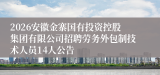2026安徽金寨国有投资控股集团有限公司招聘劳务外包制技术人员14人公告