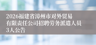 2026福建省漳州市对外贸易有限责任公司招聘劳务派遣人员3人公告