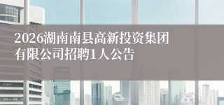 2026湖南南县高新投资集团有限公司招聘1人公告