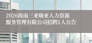 2026海南三亚嗨亚人力资源服务管理有限公司招聘1人公告