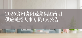 2026贵州贵阳蔬菜集团南明供应链招人事专员1人公告