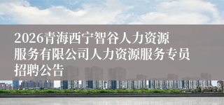 2026青海西宁智谷人力资源服务有限公司人力资源服务专员招聘公告