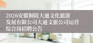 2026安徽铜陵大通文化旅游发展有限公司大通文旅公司运营综合岗招聘公告