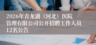 2026年青龙湖（河北）医院管理有限公司公开招聘工作人员12名公告