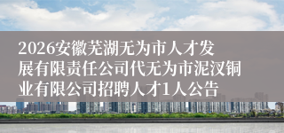 2026安徽芜湖无为市人才发展有限责任公司代无为市泥汊铜业有限公司招聘人才1人公告