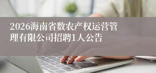 2026海南省数农产权运营管理有限公司招聘1人公告