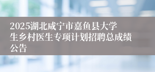2025湖北咸宁市嘉鱼县大学生乡村医生专项计划招聘总成绩公告