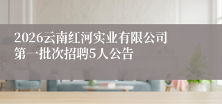 2026云南红河实业有限公司第一批次招聘5人公告