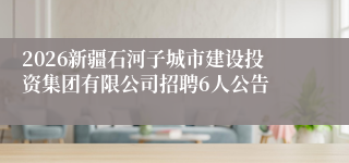 2026新疆石河子城市建设投资集团有限公司招聘6人公告