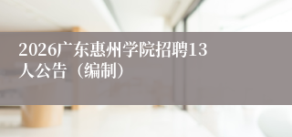 2026广东惠州学院招聘13人公告(编制)