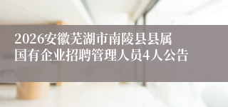 2026安徽芜湖市南陵县县属国有企业招聘管理人员4人公告