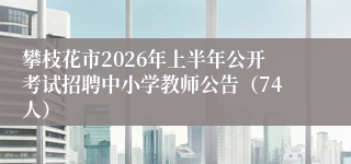 攀枝花市2026年上半年公开考试招聘中小学教师公告（74人）