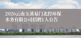 2026云南玉溪易门北控环保水务有限公司招聘1人公告