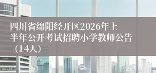 四川省绵阳经开区2026年上半年公开考试招聘小学教师公告（14人）
