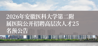 2026年安徽医科大学第二附属医院公开招聘高层次人才25名预公告