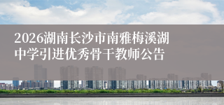 2026湖南长沙市南雅梅溪湖中学引进优秀骨干教师公告