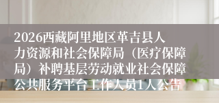 2026西藏阿里地区革吉县人力资源和社会保障局（医疗保障局）补聘基层劳动就业社会保障公共服务平台工作人员1人公告