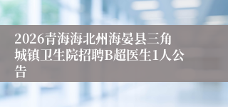 2026青海海北州海晏县三角城镇卫生院招聘B超医生1人公告