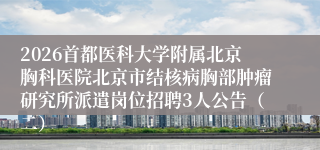 2026首都医科大学附属北京胸科医院北京市结核病胸部肿瘤研究所派遣岗位招聘3人公告（二）