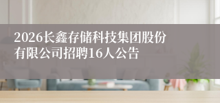 2026长鑫存储科技集团股份有限公司招聘16人公告