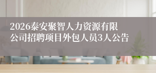 2026泰安聚智人力资源有限公司招聘项目外包人员3人公告