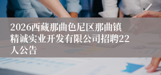 2026西藏那曲色尼区那曲镇精诚实业开发有限公司招聘22人公告