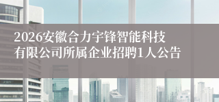 2026安徽合力宇锋智能科技有限公司所属企业招聘1人公告