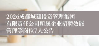 2026成都城建投资管理集团有限责任公司所属企业招聘效能管理等岗位7人公告