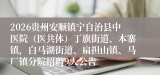 2026贵州安顺镇宁自治县中医院（医共体）丁旗街道、本寨镇，白马湖街道、扁担山镇、马厂镇分院招聘9人公告