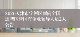 2026天津市宁河区面向全国选聘区管国有企业领导人员2人公告