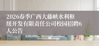 2026春季广西大藤峡水利枢纽开发有限责任公司校园招聘6人公告