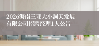 2026海南三亚大小洞天发展有限公司招聘经理1人公告
