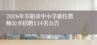 2026年阜阳市中小学新任教师公开招聘114名公告