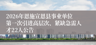 2026年恩施宣恩县事业单位第一次引进高层次、紧缺急需人才22人公告