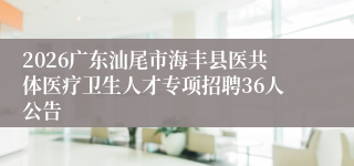 2026广东汕尾市海丰县医共体医疗卫生人才专项招聘36人公告