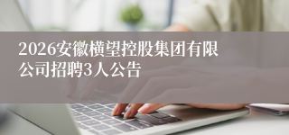 2026安徽横望控股集团有限公司招聘3人公告
