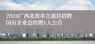 2026广西北海市合浦县招聘国有企业总经理1人公告