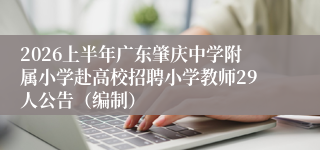 2026上半年广东肇庆中学附属小学赴高校招聘小学教师29人公告（编制）