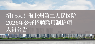 招15人！海北州第二人民医院2026年公开招聘聘用制护理人员公告