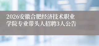 2026安徽合肥经济技术职业学院专业带头人招聘3人公告