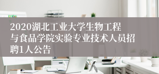 2020湖北工业大学生物工程与食品学院实验专业技术人员招聘1人公告