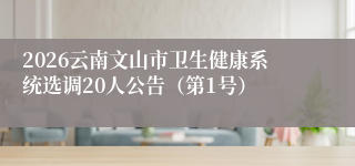2026云南文山市卫生健康系统选调20人公告（第1号）