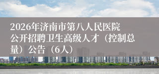 2026年济南市第八人民医院公开招聘卫生高级人才（控制总量）公告（6人）