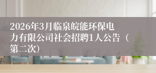 2026年3月临泉皖能环保电力有限公司社会招聘1人公告（第二次）