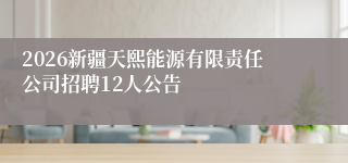 2026新疆天熙能源有限责任公司招聘12人公告