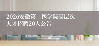 2026安徽第二医学院高层次人才招聘20人公告