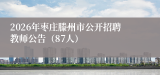 2026年枣庄滕州市公开招聘教师公告(87人)